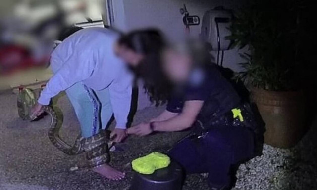 Σοκαριστικό video: Προσπάθησε να σώσει πύθωνα και εκείνος να την... φάει!