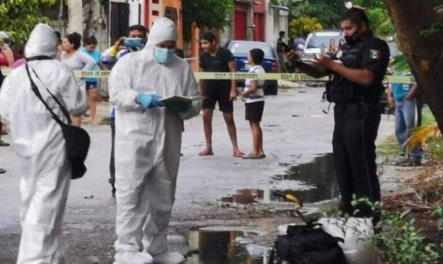 Τραγωδία: Τον καταβρόχθισε γουρούνι - Οι φρικτές εικόνες που αντίκρισαν οι διασώστες 