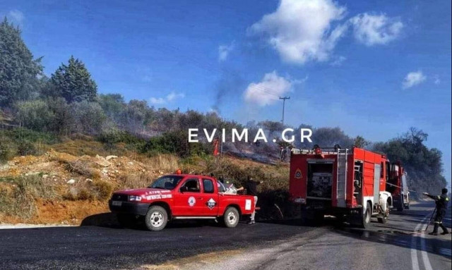 Φωτιά ΤΩΡΑ στην Εύβοια: Απειλεί κατοικημένη περιοχή