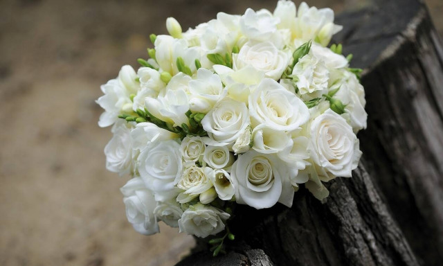 Η νύφη πέταξε την ανθοδέσμη στις φίλες της – Αυτό που ακολούθησε δεν το περίμενε κανείς (video)