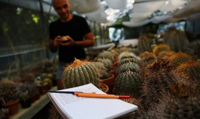 Μοριακός βιολόγος από την Αθήνα συλλέγει χιλιάδες κάκτους εδώ και 30 χρόνια (photos)