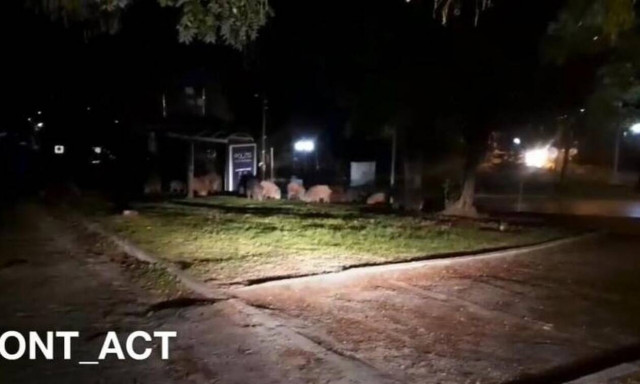 Lockdown - Θεσσαλονίκη: Αγριογούρουνα βγήκαν… βόλτα