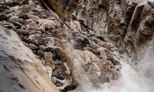 Κορονοϊός - Δανία: Θανατώθηκαν 17.000.000 βιζόν λόγω της πανδημίας - Σοκαριστικές εικόνες