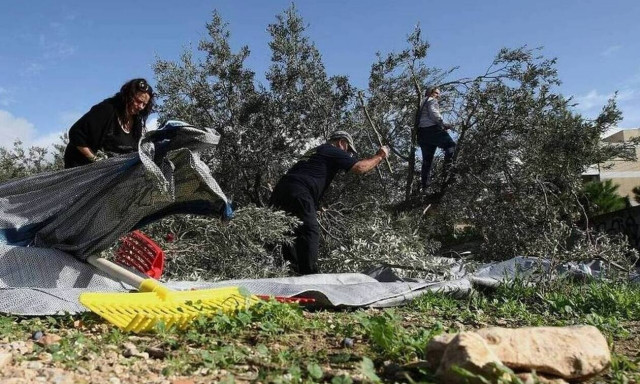 Κορονοϊός: Συναγερμός σε 4 νομούς – Εξάπλωση της πανδημίας λόγω συγκομιδής της ελιάς
