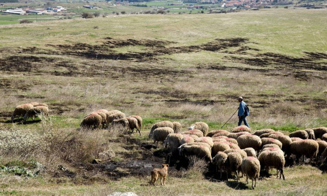 Εξισωτική αποζημίωση: Στα 256,9 εκατ. ευρώ ο προϋπολογισμός για το 2020 - Όλη η απόφαση