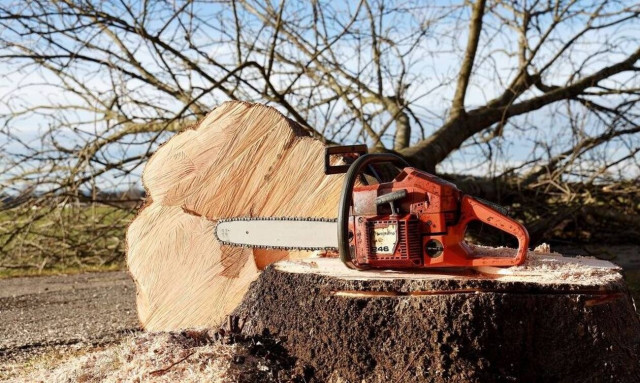 Τραγωδία στα Τρίκαλα: Νεκρός 75χρονος που καταπλακώθηκε από δέντρο 