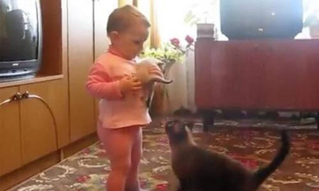 Γάτα αρπάζει το μωρό της από την αγκαλιά του… μωρού!