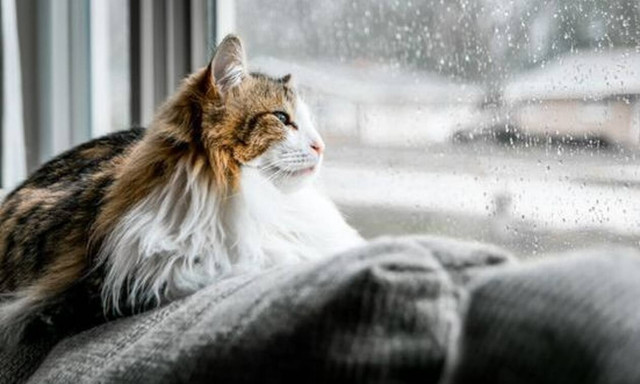 Θέρμανση σπιτιού: Αυτά είναι τα «μυστικά» για ζεστό σπίτι με τον πιο οικονομικό τρόπο!