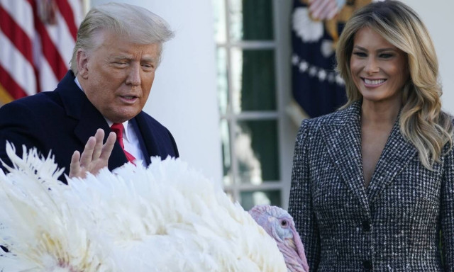ΗΠΑ: Ο πρόεδρος Τραμπ τήρησε την παράδοση και έδωσε χάρη σε μια γαλοπούλα ενόψει των Ευχαριστιών