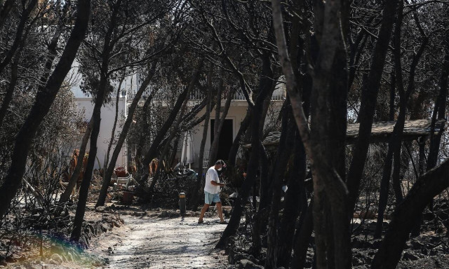 Φωτιά στο Μάτι: Αναβάθμιση των κατηγοριών σε κακουργήματα ζητά η Βαρβάρα Φύτρου-Όλη η αίτησή της