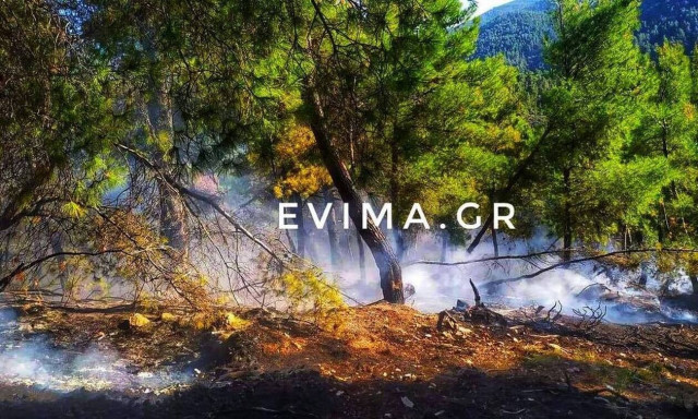 Φωτιά ΤΏΡΑ στην Εύβοια