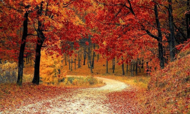 Τα φύλλα του φθινοπώρου πέφτουν πιο νωρίς λόγω της κλιματικής αλλαγής