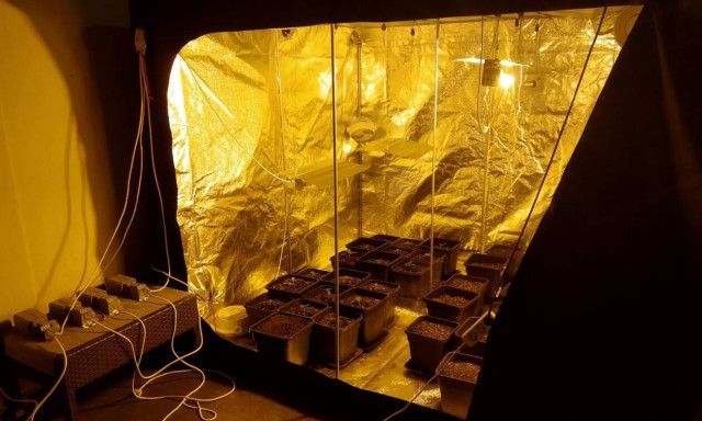 Θεσσαλονίκη: Καλλιεργούσαν κάνναβη στο κέντρο της πόλης - Δυο συλλήψεις