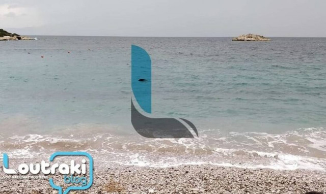 Λουτράκι: Απίστευτο! Δείτε τι ξέβρασε η θάλασσα (pic - vid)