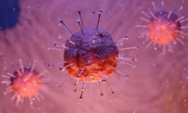 Κορονοϊός: Έτσι επιτίθεται ο ιός στον άνθρωπο - Πώς «χτυπά» και τον εγκέφαλο