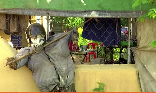 Απίστευτο: Δείτε πού ξορκίζουν τον κορονοϊό με… σκιάχτρα (video)