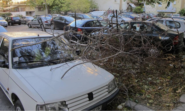 ΣτΕ: Αποζημίωση από τους ΟΤΑ σε περίπτωση τραυματισμού ή θανάτου από πτώση κλαδιών