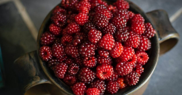 Γιατί να βάλεις τα σμέουρα στη διατροφή σου;