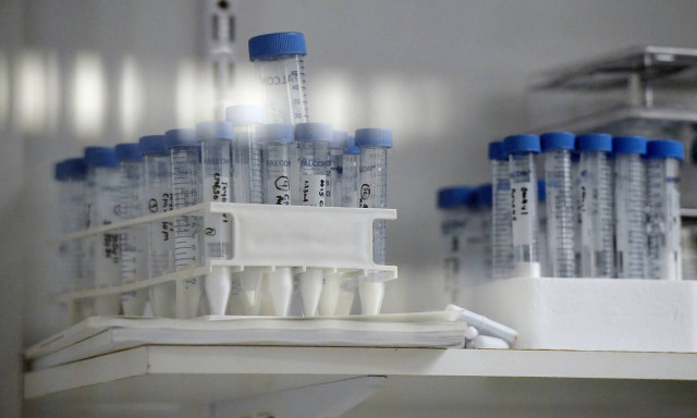 Κορονοϊός: Το χρονοδιάγραμμα για τον εμβολιασμό στην Ελλάδα