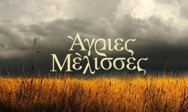 Άγριες Μέλισσες spoiler: Νέο ζευγάρι στο Διαφάνι; Τι θα δούμε στα επόμενα επεισόδια (vid)