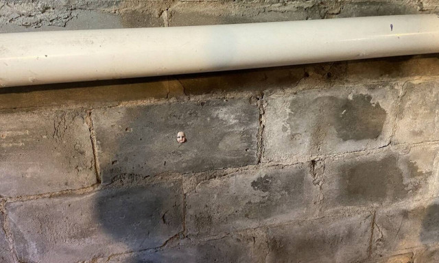 Βρήκε ένα κουκλάκι χτισμένο σε τοίχο του σπιτιού της- Της είπαν να μετακομίσει αμέσως