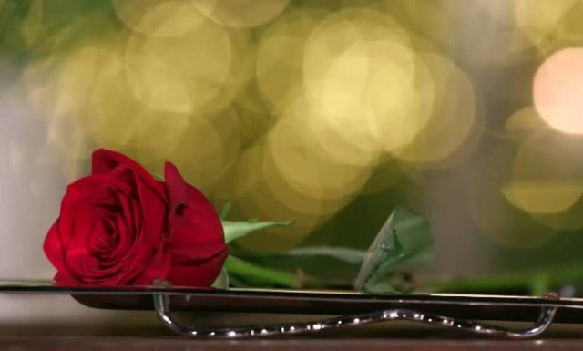 The Bachelor: Η κοπέλα που αποχώρησε - Ποια είναι η τελική πεντάδα (vid)