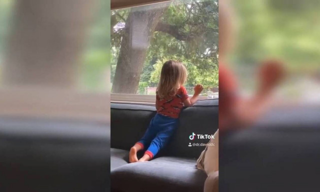 Κοριτσάκι κάνει νέο φίλο εν μέσω καραντίνας και γίνεται viral(+video)