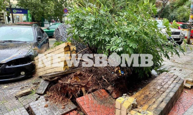 Flooded roads and fallen trees reported in Attica due to bad weather	