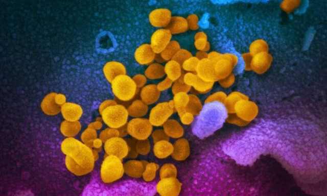 Κορονοϊός: Νέα μετάλλαξη του ιού εντοπίστηκε στη Βρετανία