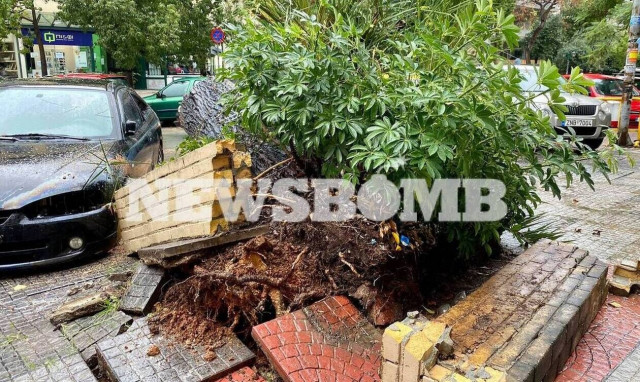 Καιρός: Άνοιξαν οι ουρανοί στην Αθήνα - Πλημμύρισαν δρόμοι, έπεσαν δέντρα, κατέρρευσε τοίχος κτηρίου