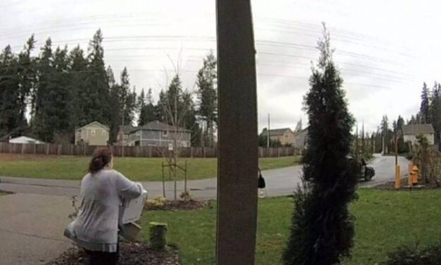 Θεία δίκη: Πήγε να κλέψει το δέμα και «έφαγε» τα μούτρα της (video)