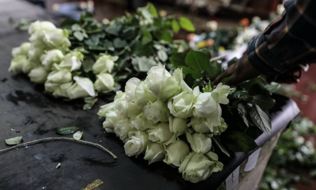 Κορονοϊός: Επιτρέπεται από σήμερα (16/12) η πώληση ανθών και φυτών στις λαϊκές αγορές