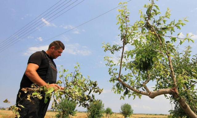Επιστρεπτέα προκαταβολή: Το χρώμα του χρήματος θα δουν και οι αγρότες – Τι ποσοστό θα λάβουν 