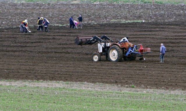 Κορονοϊός: Αφορολόγητες οι ενισχύσεις που λαμβάνουν οι αγρότες