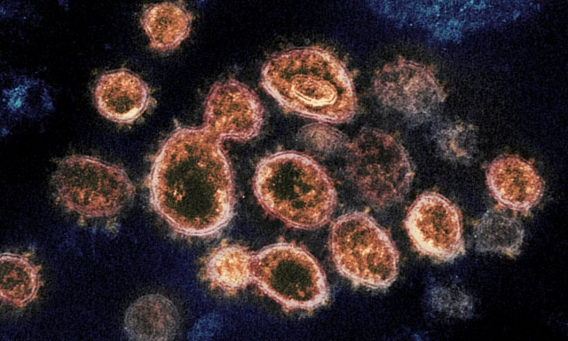 Τρεις μεταλλάξεις του κορονοϊού έχουν καταγραφεί στην Πορτογαλία