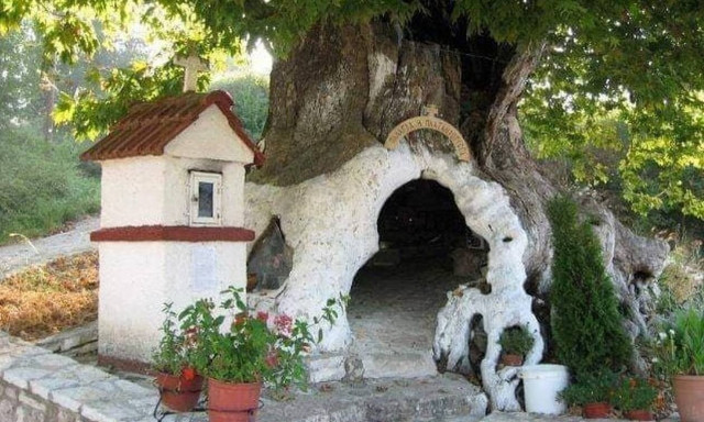 Απίστευτο! Το Εκκλησάκι Της Παναγίας που βρίσκεται μέσα σε πλάτανο