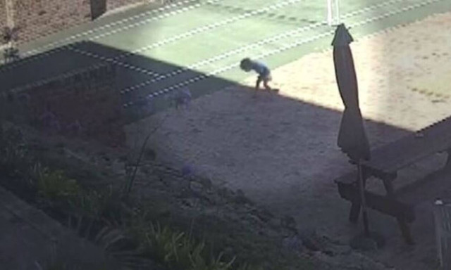 Στιγμές αγωνίας για 3χρονο κοριτσάκι: Το δάγκωσε φίδι - Σωτήρια η επέμβαση της γιαγιά της (vid)