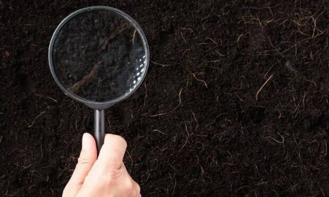 Σήμερα 04/01/21: Ερεύνησε εξονυχιστικά τα πάντα