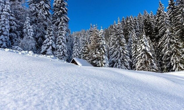 Πρωτοχρονιά - Ιωάννινα: Τα έθιμα της Ηπείρου	