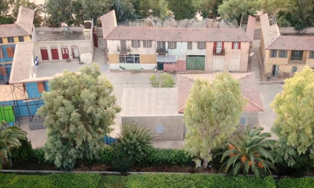 Άγριες Μέλισσες: Το κρυμμένο «τηλεοπτικό πατρικό» της οικογένειας Σταμίρη (video)