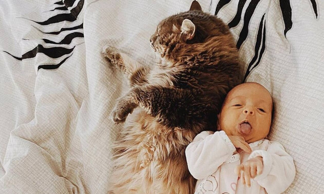 Αυτά τα μωρά δεν αποχωρίζονται τη γάτα τους (pics) 