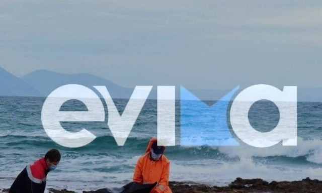 Εύβοια: Βρέθηκε πτώμα γυναίκας σε παραλία – Έρευνες για τα αίτια