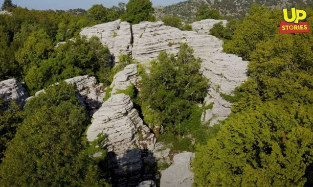 Πέτρινο Δάσος: Το μοναδικό θέαμα που «κόβει» την ανάσα