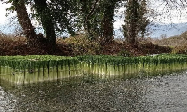 Ο ποταμός των πράσων στην Δωροθέα Πέλλας