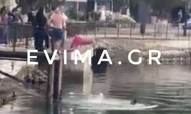 Αμάρυνθος: Συγκλονίζει ο ψαράς που μετέφερε τον 24χρονο (video)