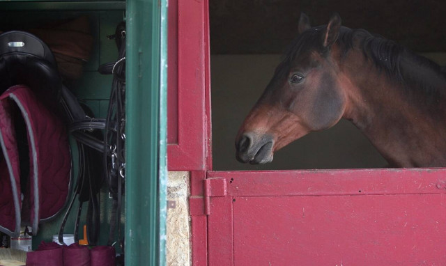 Ρεπορτάζ Newsbomb.gr – Κορωπί: Έτσι γλίτωσε η 5χρονη από τις άρρωστες ορέξεις του 20χρονου