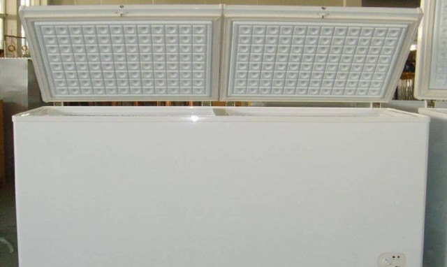 Θρίλερ: Βρέθηκε πτώμα 15χρονου σε καταψύκτη - Ποιος και γιατί τον σκότωσε