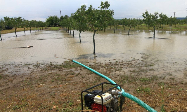Παράταση έξι μηνών στην υποβολή των αιτήσεων πληρωμής για το υπομέτρο 5.1 του ΠΑΑ 2014-2020
