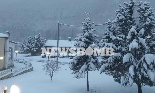 Ρεπορτάζ Newsbomb.gr: Κατάλευκο το τοπίο σε Φλώρινα και Εύβοια (pics)