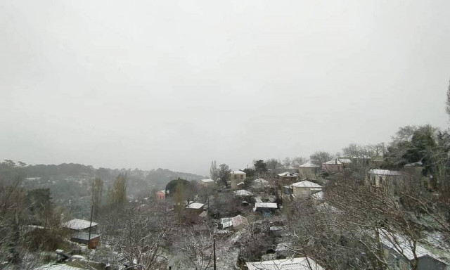 Κακοκαιρία «Λέανδρος»: Χιόνια μέχρι και στη Μυτιλήνη - Λευκό τοπίο όλο το νησί